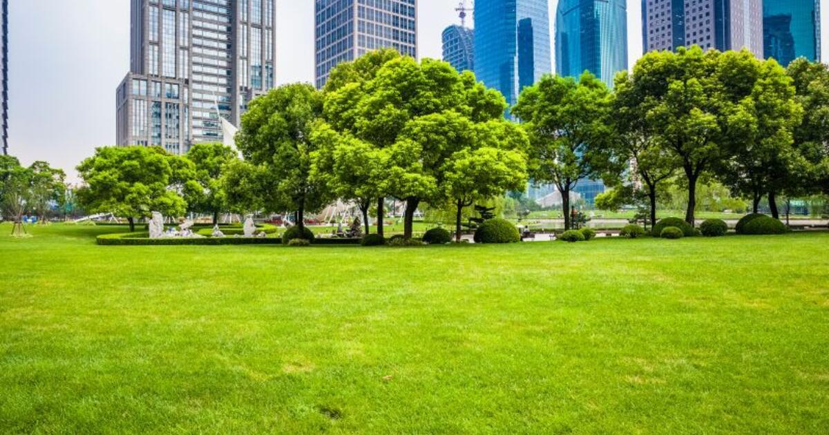 Managing Agents Partnership Sanderson Weatherall as latest